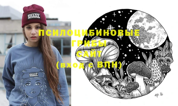 дурь Горно-Алтайск
