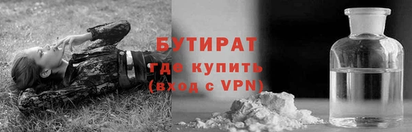 сатива Горняк