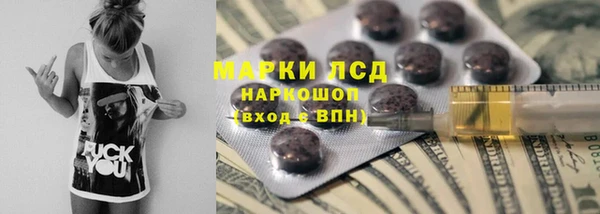 сатива Горняк