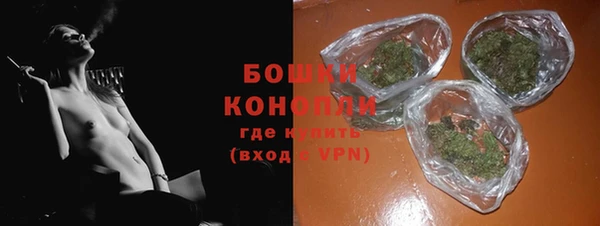 сатива Горняк