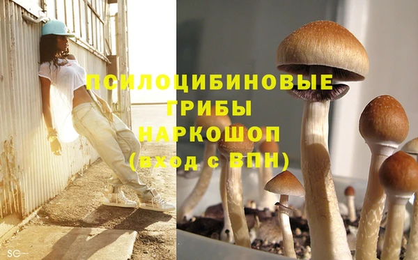 таблы Горнозаводск