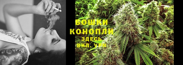 сатива Горняк