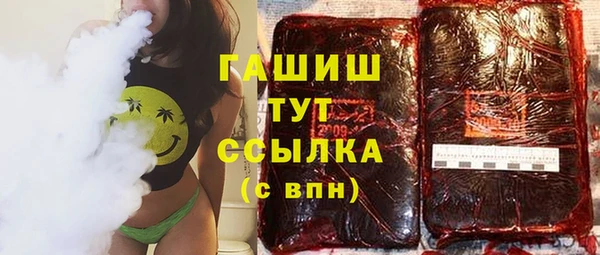 сатива Горняк