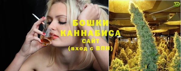 сатива Горняк