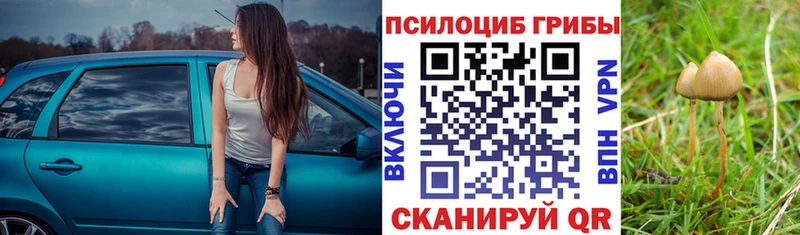 Галлюциногенные грибы ЛСД Среднеуральск